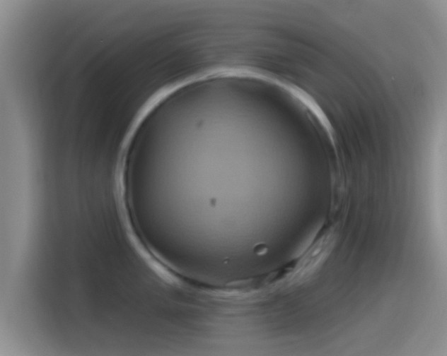 X0000114101005200910131318