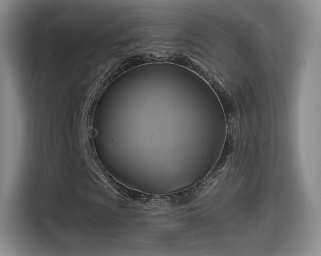 X0000114101009200910131318