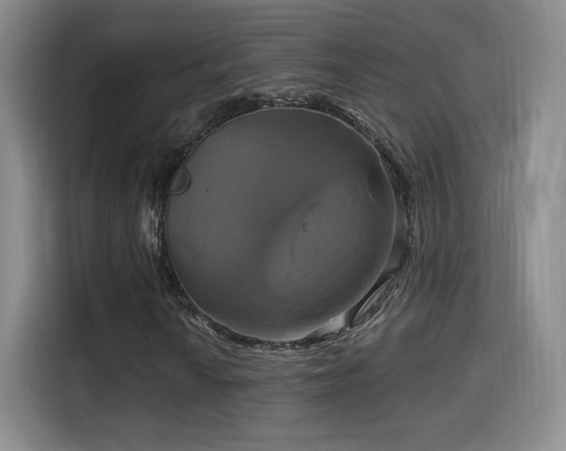 X0000114101010200910131318