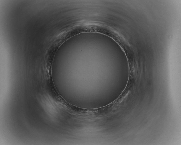 X0000114101013200910131318