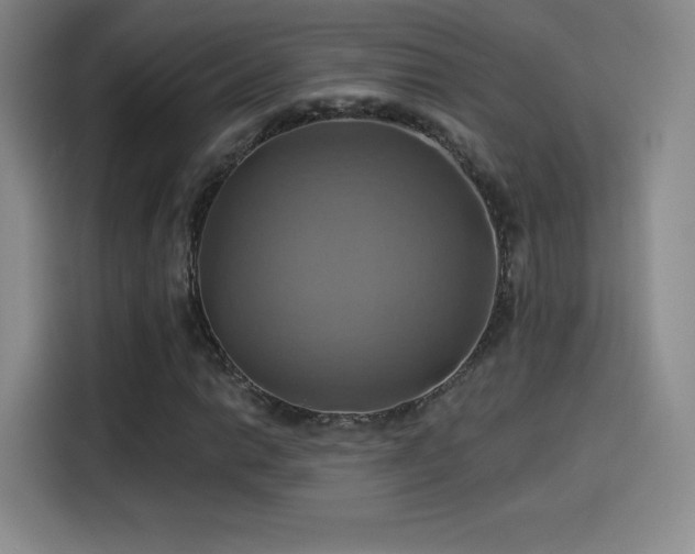 X0000114101014200910131318