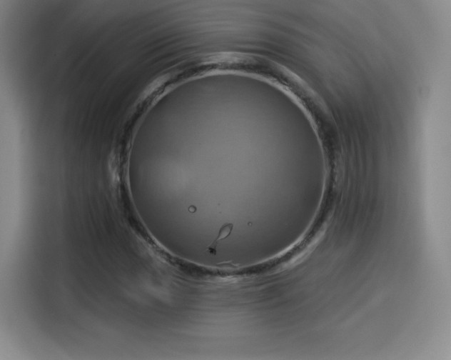 X0000114101017200910131318