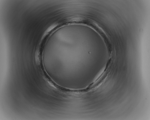 X0000114101018200910131318