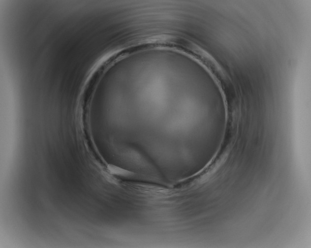 X0000114101019200910131318