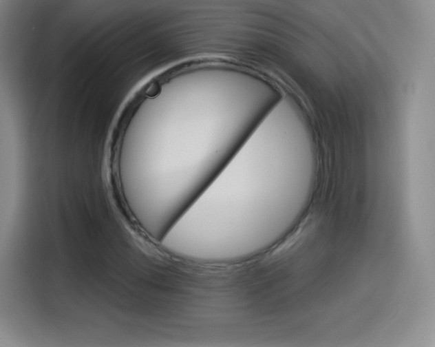 X0000114101020200910131318