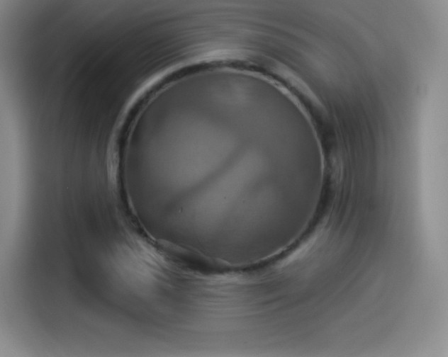 X0000114101021200910131318