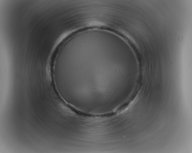 X0000114101022200910131318