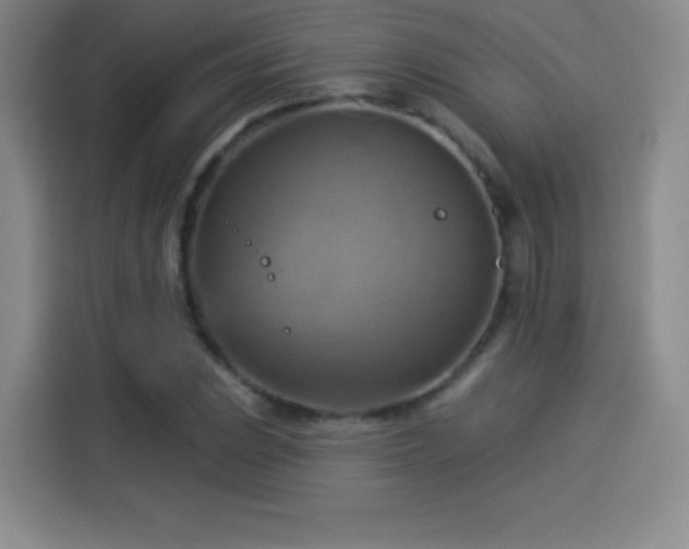 X0000114101023200910131318