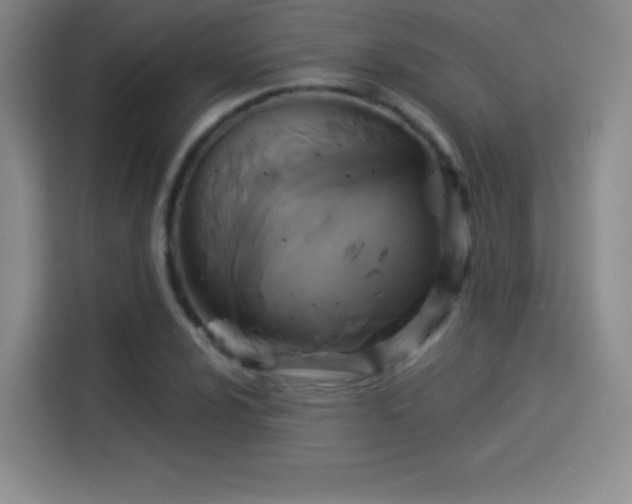 X0000114101024200910131318