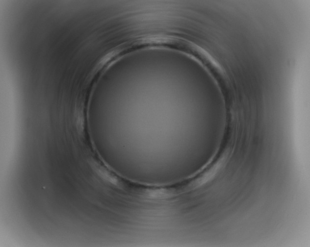 X0000114101025200910131318