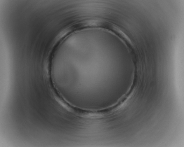 X0000114101026200910131318