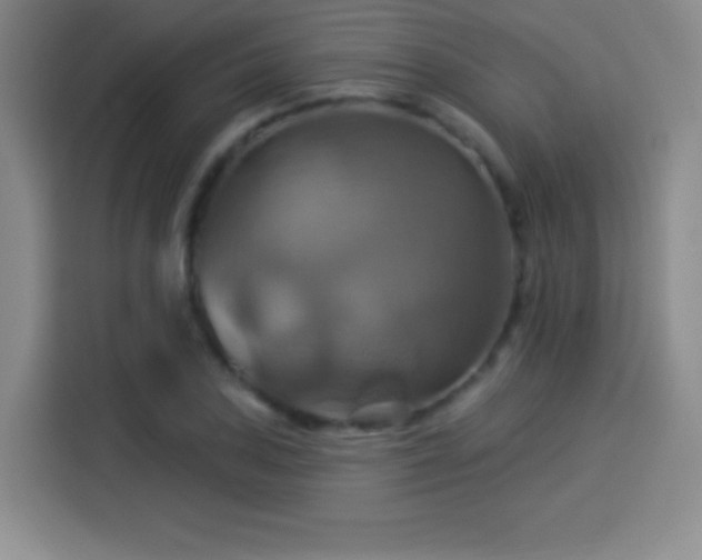 X0000114101027200910131318