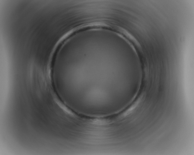 X0000114101029200910131318