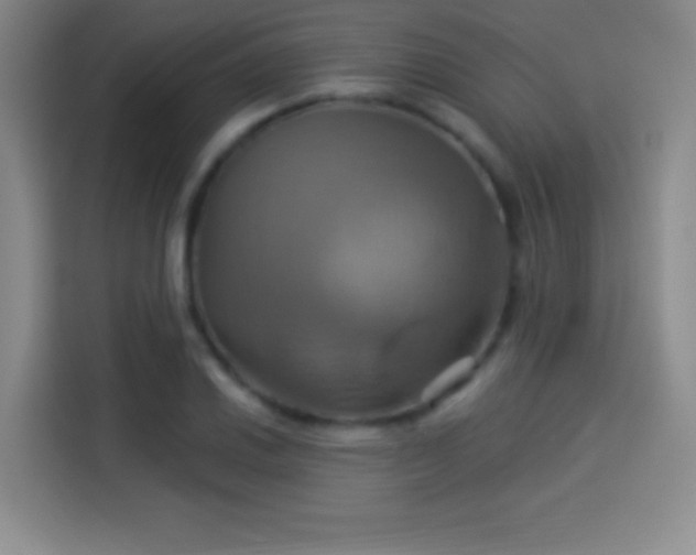 X0000114101030200910131318