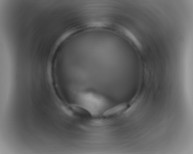 X0000114101035200910131318