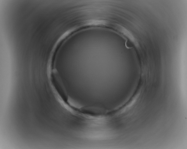 X0000114101037200910131318