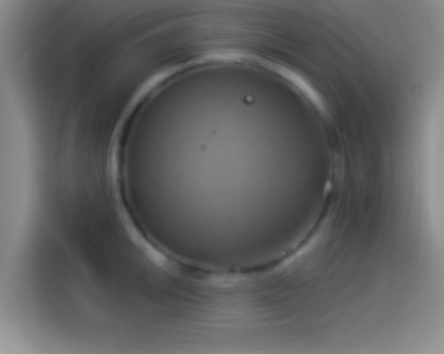 X0000114101046200910131318