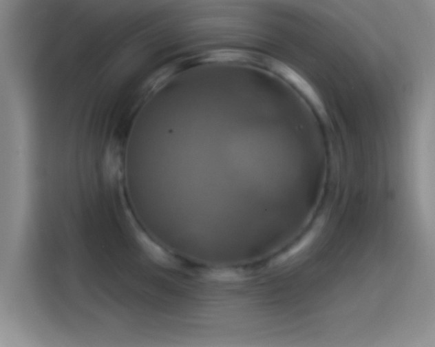 X0000114101049200910131318