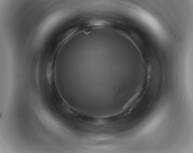 X0000114101052200910131318