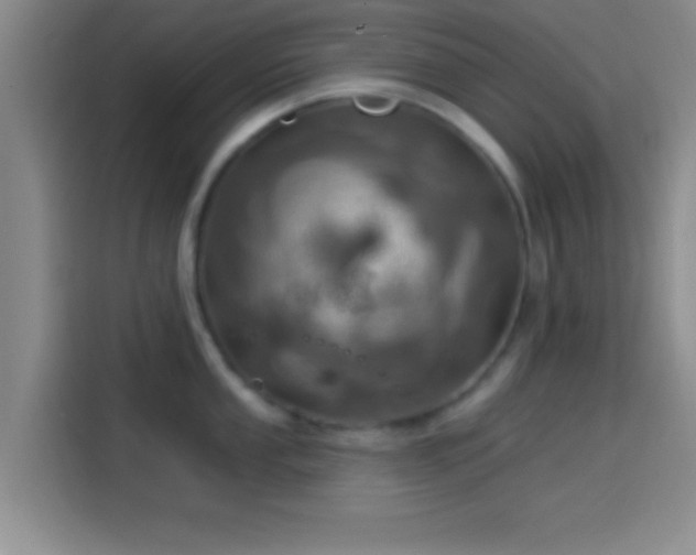 X0000114101053200910131318