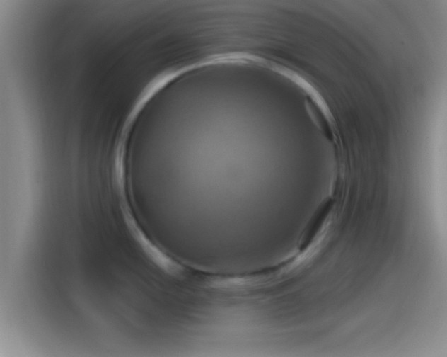 X0000114101054200910131318