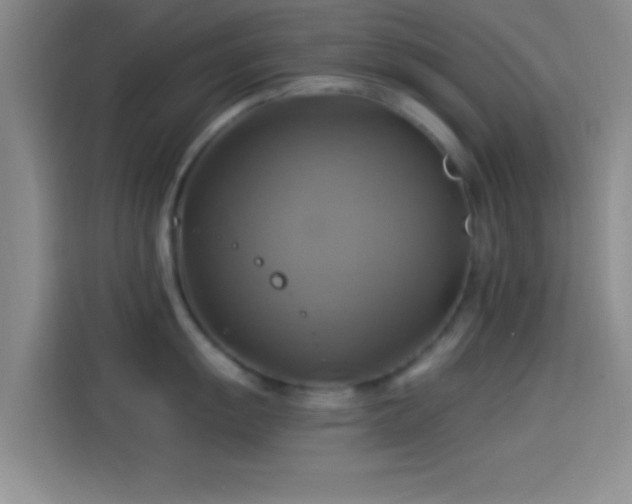 X0000114101055200910131318