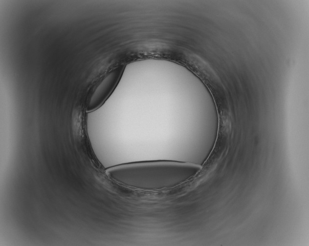 X0000114101060200910131318