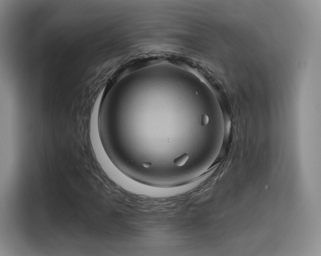 X0000114101061200910131318