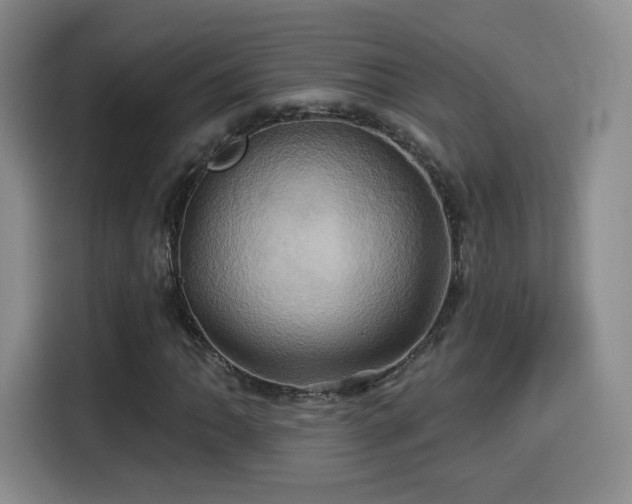 X0000114101062200910131318