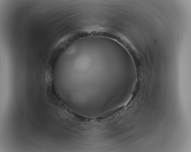 X0000114101063200910131318