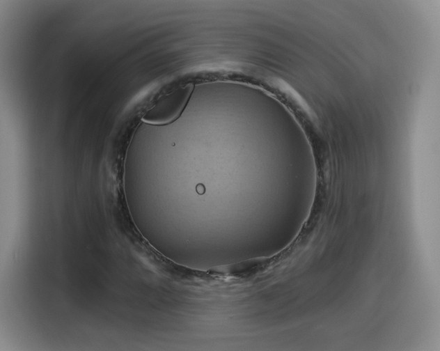 X0000114101064200910131318