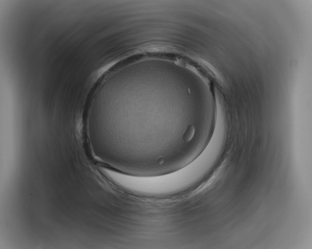 X0000114101065200910131317