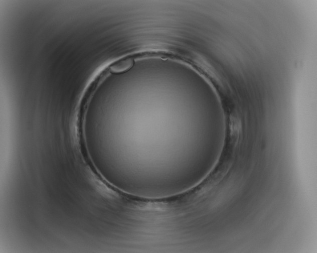 X0000114101068200910131317