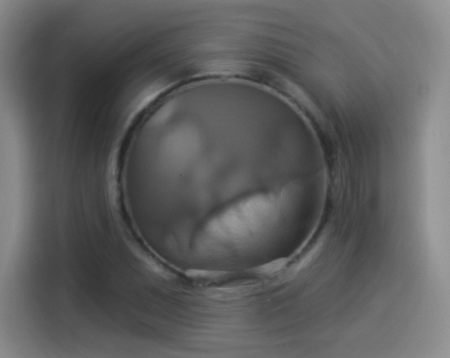 X0000114101071200910131317