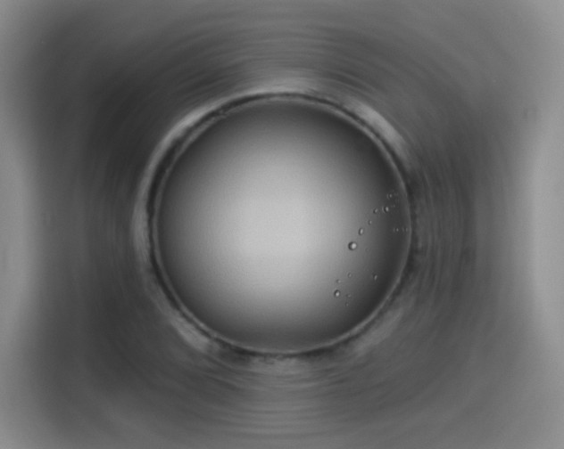 X0000114101072200910131317