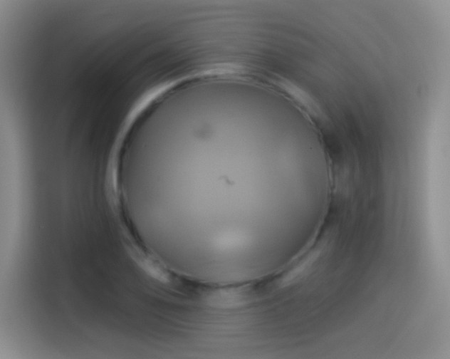 X0000114101078200910131317