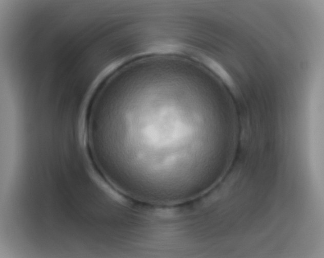 X0000114101080200910131317