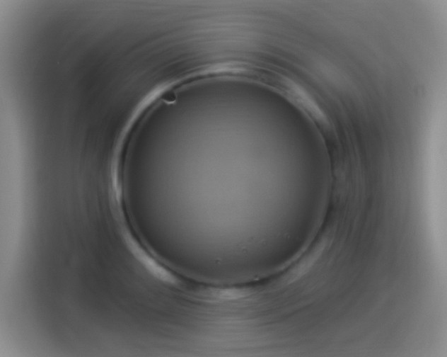 X0000114101084200910131317