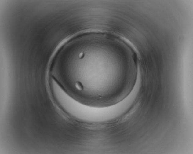 X0000114101085200910131317