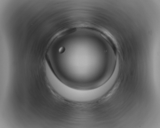 X0000114101089200910131317