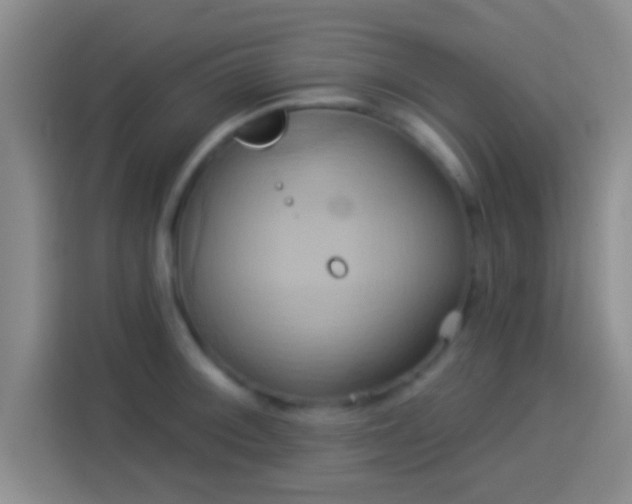 X0000114101092200910131317