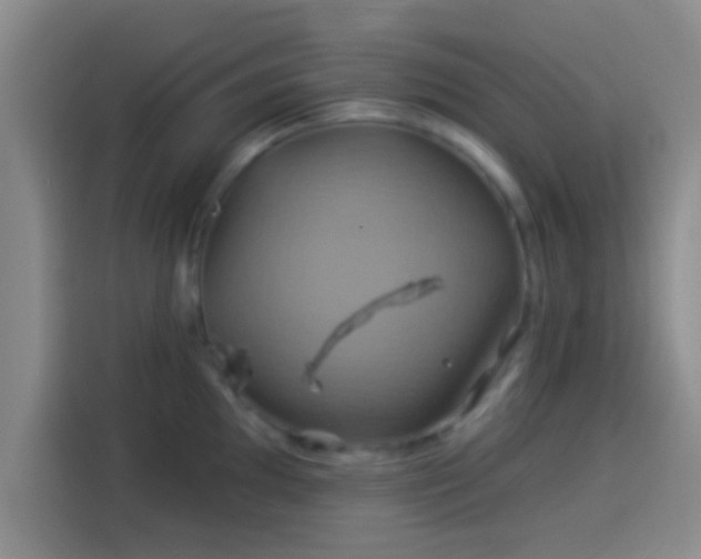 X0000114101097200910131317