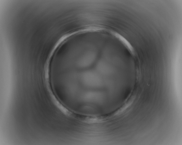 X0000114101099200910131317