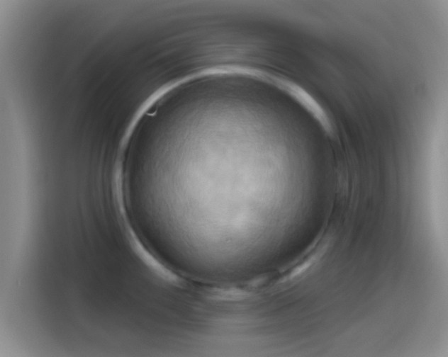 X0000114101100200910131317