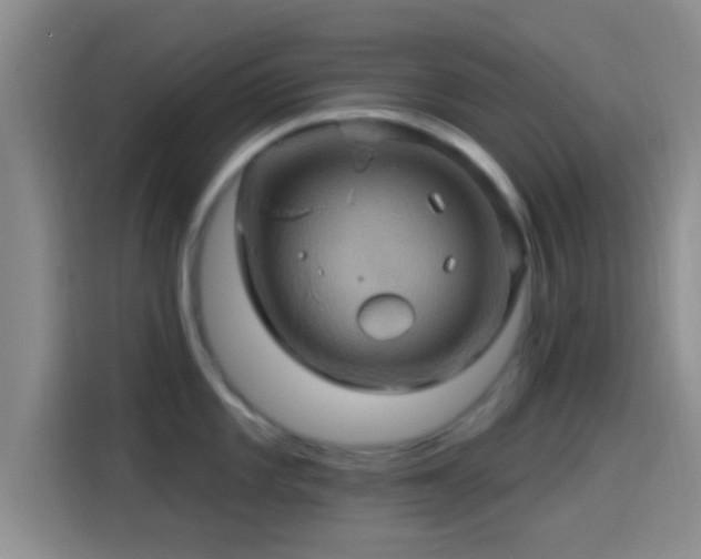 X0000114101101200910131317