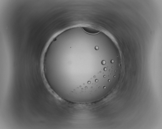 X0000114101104200910131317