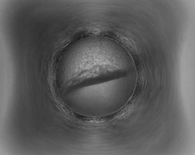 X0000114101105200910131316