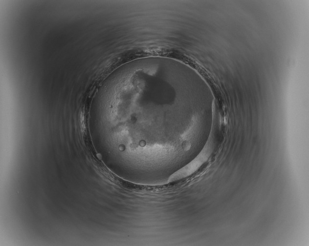 X0000114101106200910131316