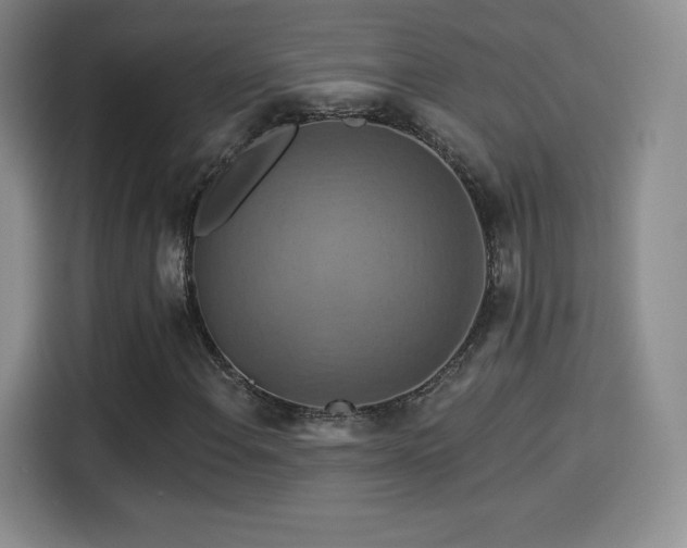 X0000114101108200910131316