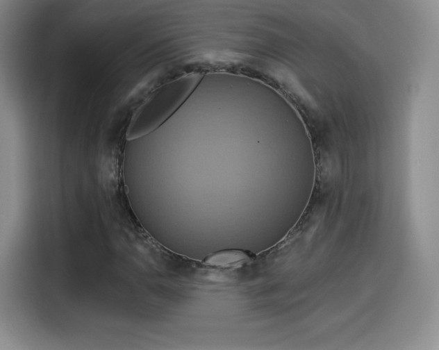 X0000114101110200910131316